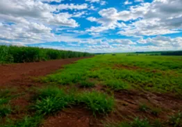 Imóvel rural | Matrícula Nº 205.272 | Ribeirão Preto (SP)