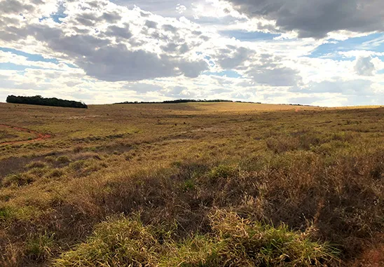 Imóvel rural Fazenda Morrinhos | Mineiros – GO | Registro nº 48.150